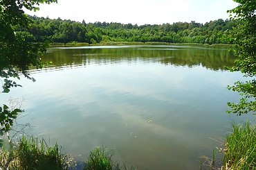 Jezioro Brzostek #jeziora