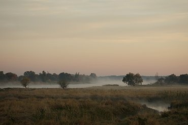 #łąki #natura #Odra #Ranek #rzeka