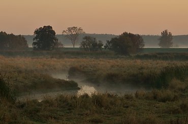 #łąki #natura #Odra #Ranek #rzeka