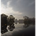 #staw #mgła #park #wpkiw #drzewa #woda