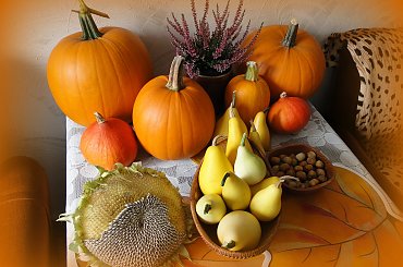 Skarby jesieni #dynie