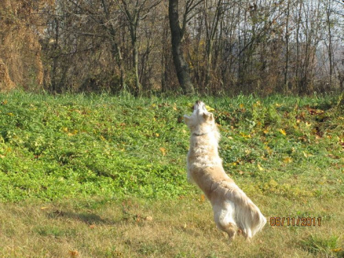 a teraz widać