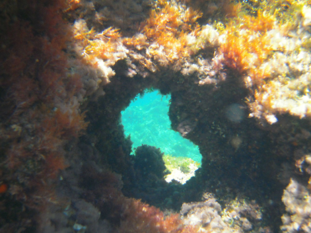 Cuda podwodnego świata - tajemnicze oko :) #Sycylia #PodwodnyŚwiat