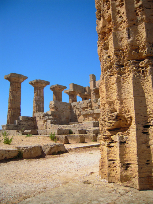 Świątynia E i jej kolumny doryckie #Sycylia #Selinunte