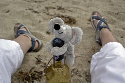 plaża, wino i ja... i ta cudnie pozująca mewa... wrrr!