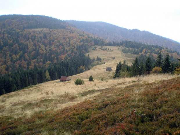 Polana Podskały - widok od Jaworzynki #góry #beskidy #gorce #podskały #GorcTroszacki #adamówka