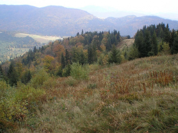 Polana Jaworzynka #góry #beskidy #gorce #podskały #GorcTroszacki #adamówka