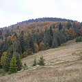 Jesień na Stokach Gorca Troszackiego #góry #beskidy #gorce #podskały #GorcTroszacki #adamówka