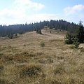 Polana Gorc Troszacki (widok od Gorca Troszackiego w kierunku Kudłonia) #góry #beskidy #gorce #podskały #GorcTroszacki #adamówka