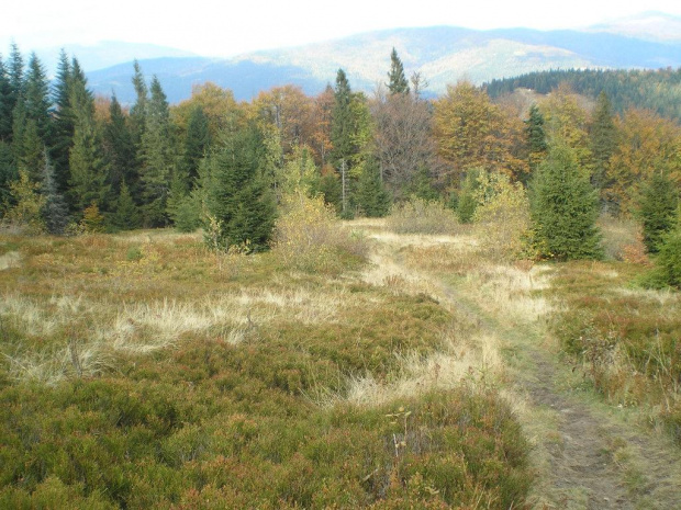 Jesień na polanie Adamówka #góry #beskidy #gorce #podskały #GorcTroszacki #adamówka