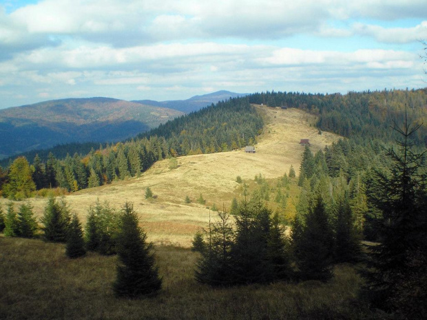 Polana Podskały - widok od strony Gorca Troszackiego - w tle Jasień i Mogielica #góry #beskidy #gorce #podskały #GorcTroszacki #adamówka