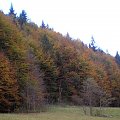 Jesień na polanie Trusiówka #góry #beskidy #gorce #podskały #GorcTroszacki #adamówka