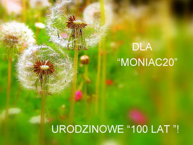 Moniczko, życzę Ci wszystkiego co najlepsze,
co dobre i miłe,
co budzi uśmiech na twarzy,
co kryje się w maleńkim słowie "szczęście", zdrowia oraz tradycyjnych 100 lat! :))