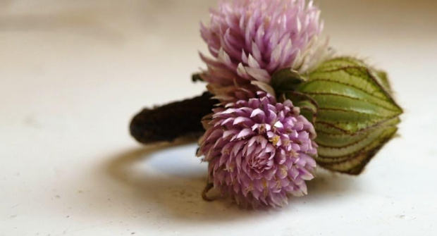 Zdjęcia z zajęć praktycznych realizowanych przez słuchaczy studium kształcącego w zawodzie florysta udostępniła Jolanta Chabros #Sobieszyn #Brzozowa #Florysta
