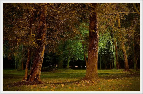 Wieczorny spacer po parku ... #park