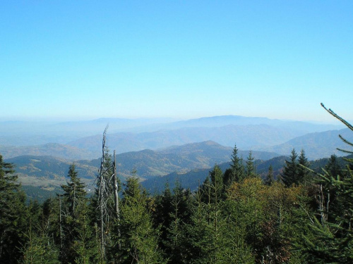 Beskid Sądecki z Gorca #góry #beskidy #gorce #gorc #GorcKamienicki