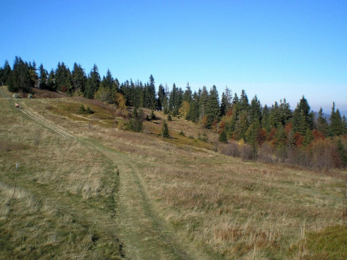 Jesień na polanie Gorc Kamienicki #góry #beskidy #gorce #gorc #GorcKamienicki