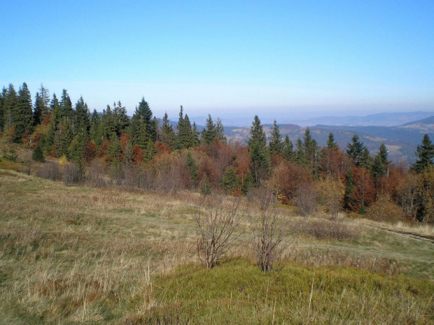 Jesień na polanie Gorc Kamienicki #góry #beskidy #gorce #gorc #GorcKamienicki