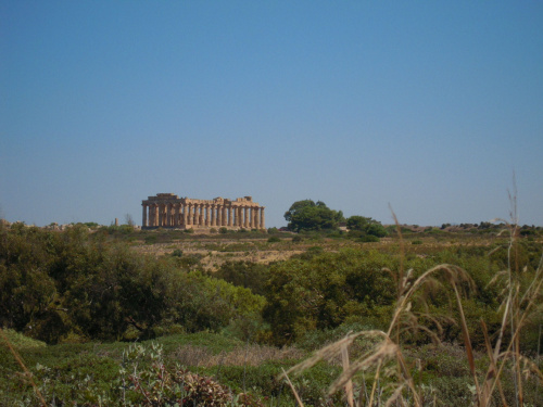 Widok na Świątynię E z akropolu #Sycylia #Selinunte
