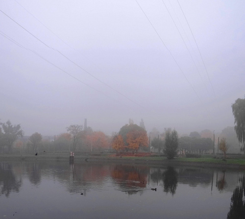 Szept Brdy 1 #architektura #barwy #Bydgoszcz #jesień #kolory #mgła #przyroda