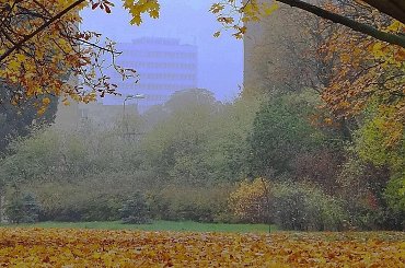 Jesienna głębia #bydgoszcz #jesień