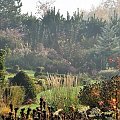 Ogród w Radkowie jesienią #grochowscy #ogród #radków #szkółka
