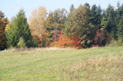 Barwy jesieni, autumn, colours #autumn #barwy #colours #drzewa #jesien #jesień #trees