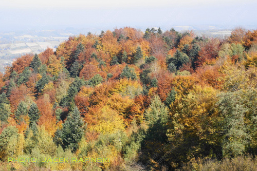 Barwy jesieni, autumn, colours #autumn #barwy #colours #drzewa #jesien #jesień #trees