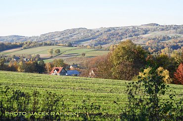 Barwy jesieni, autumn, colours #autumn #barwy #colours #drzewa #jesien #jesień #trees