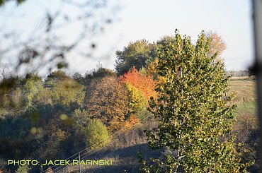 Barwy jesieni, autumn, colours #autumn #barwy #colours #drzewa #jesien #jesień #trees