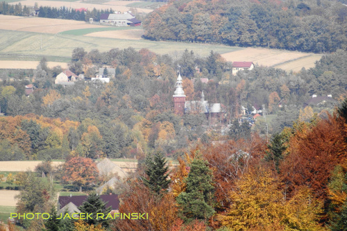 Barwy jesieni, autumn, colours #autumn #barwy #colours #drzewa #jesien #jesień #trees