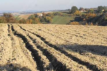Barwy jesieni, autumn, colours #autumn #barwy #colours #drzewa #jesien #jesień #trees