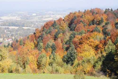 Barwy jesieni, autumn, colours #autumn #barwy #colours #drzewa #jesien #jesień #trees