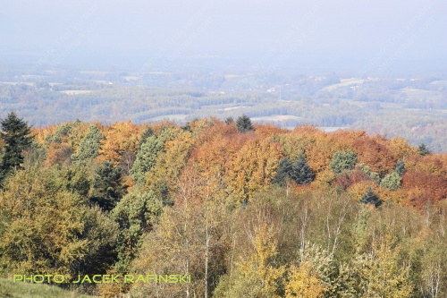 Barwy jesieni, autumn, colours #autumn #barwy #colours #drzewa #jesien #jesień #trees