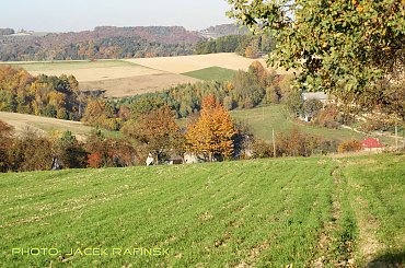 Barwy jesieni, autumn, colours #autumn #barwy #colours #drzewa #jesien #jesień #trees