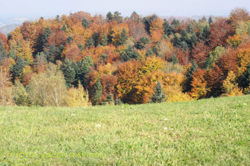 Barwy jesieni, autumn, colours #autumn #barwy #colours #drzewa #jesien #jesień #trees