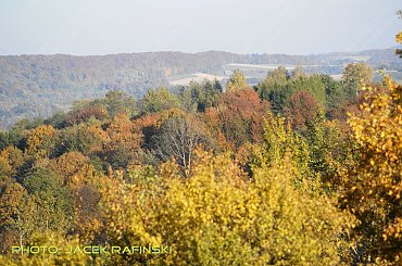 Barwy jesieni, autumn, colours #autumn #barwy #colours #drzewa #jesien #jesień #trees