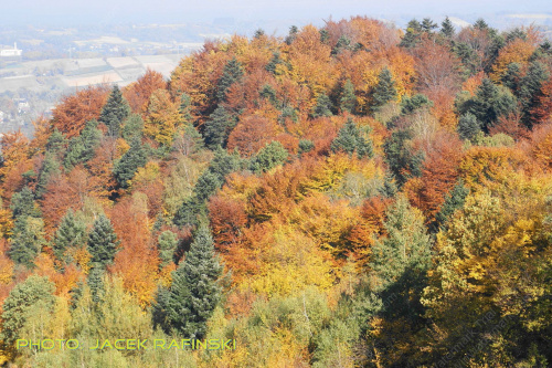 Barwy jesieni, autumn, colours #autumn #barwy #colours #drzewa #jesien #jesień #trees