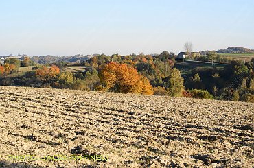 Barwy jesieni, autumn, colours #autumn #barwy #colours #drzewa #jesien #jesień #trees