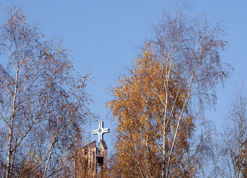 z wczorajszego spaceru (09.11.2011) #las #park #jesień #kościół #krzyż #drzewa #brzozy