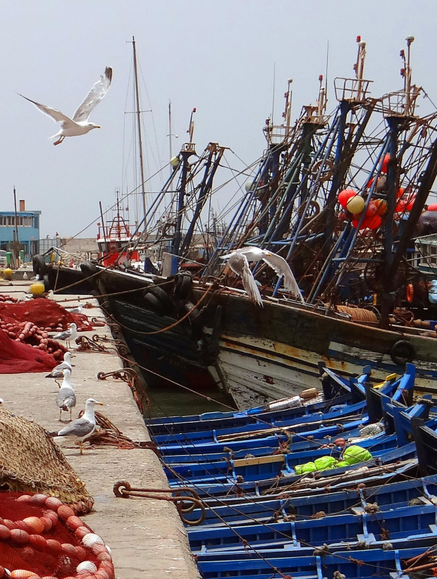 Port w Esaouira #Maroko