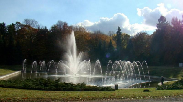 w niedziele na Cmentarzu Centralnym w Szczecinie ....