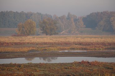 #Odra #jesień #natura #rzeka