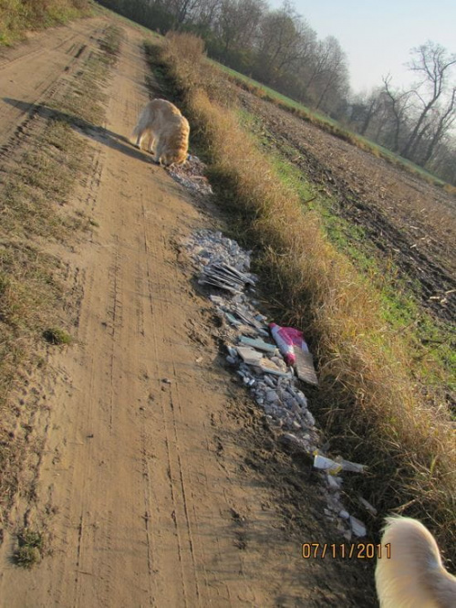 miejscowea ludność w trosce o drogi wzmacna je płykami glazyry, kawałkami płyt gipsowych opakowaniami chipsów, danonków a nawet torebkami foliowymi i obierkami z ziemniaków