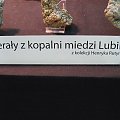 Tabliczka dot. kilku poprzednich okazów
