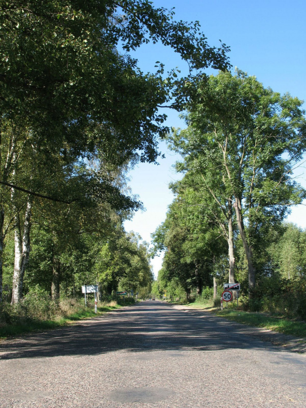 Wlecz się człowieku 50km/h po mieście i za miastem. Nie ważne, że i tak rozwalisz sobie zawieszenie, to nie dojedziesz w sensownym czasie na miejsce. Dodam, że kolejny znak, który nie jest respektowany, bo i jak takie debilizmy respektować?!