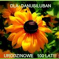 Danusiu, nasz kochany Obieżyświacie i Powsinogo :), wszystkiego najpiękniejszego życzę Ci z okazji urodzin, spełniania marzeń , szerokich szlaków, miłości, przyjaciół szczerych , uśmiechów od ucha do ucha i zdrowia moc ! :)