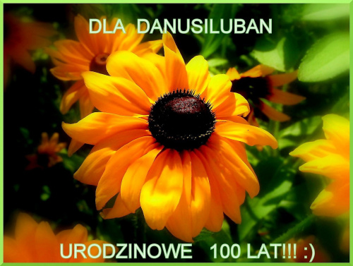 Danusiu, nasz kochany Obieżyświacie i Powsinogo :), wszystkiego najpiękniejszego życzę Ci z okazji urodzin, spełniania marzeń , szerokich szlaków, miłości, przyjaciół szczerych , uśmiechów od ucha do ucha i zdrowia moc ! :)