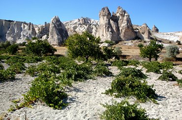 Kapadocja #Kapadocja #Turcja