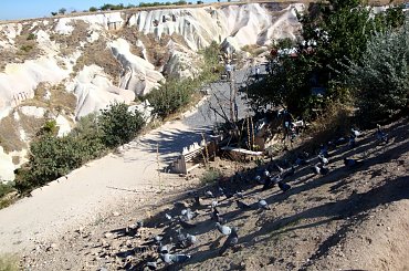 Kapadocja #Kapadocja #Turcja